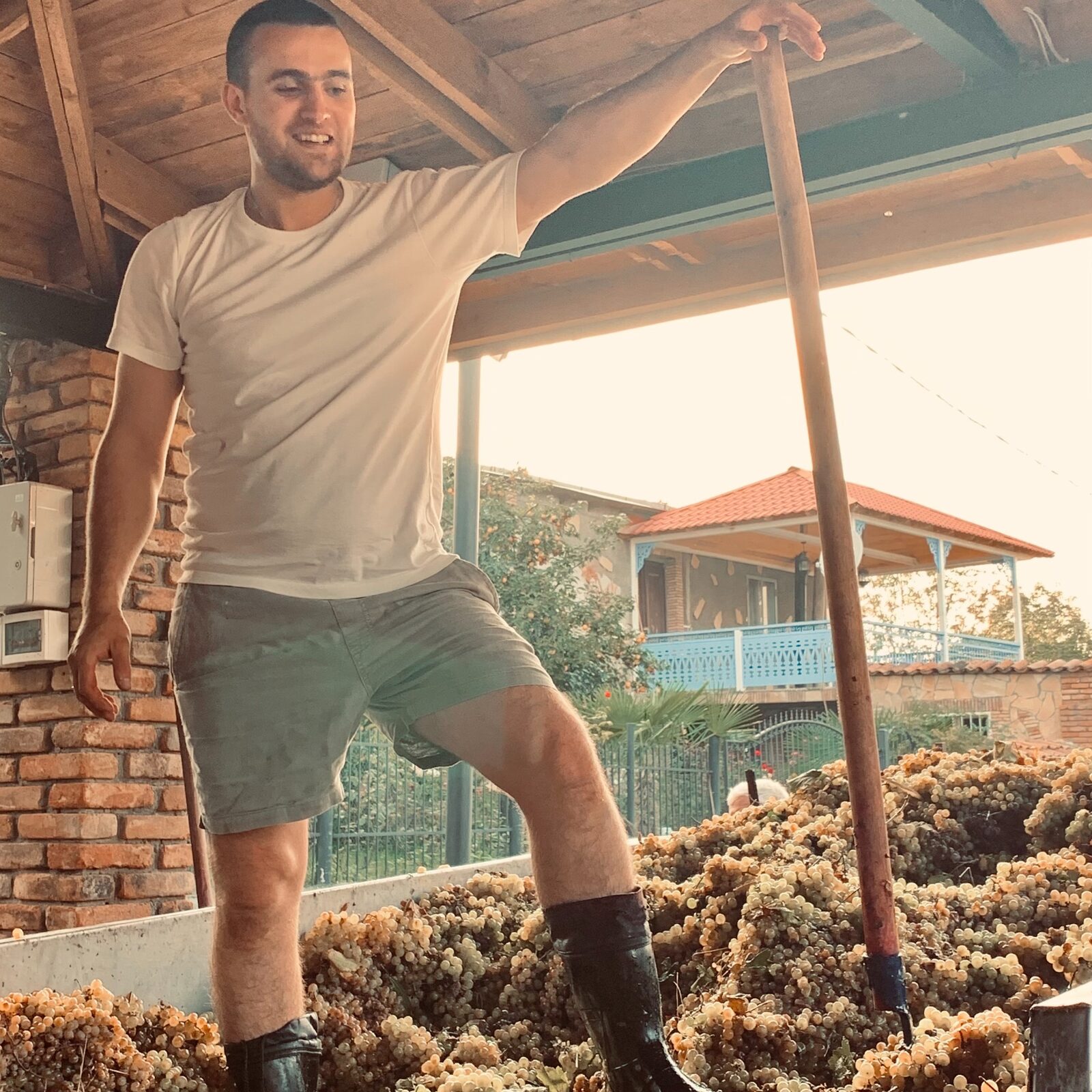 Chef Paata working with freshly harvested Georgian grapes